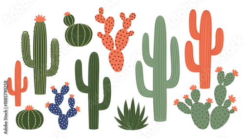 Colorful variety of cacti and succulents in different shapes and patterns including prickly pear and saguaro types.