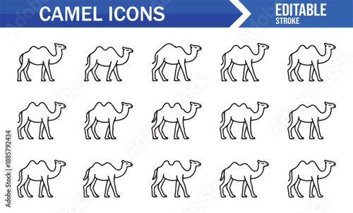 Desert wildlife camel icon collection