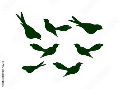 Birds silhouettes collection of different kinds of flying and perched birds isolated on white background, vector illustration perfect for wildlife and nature projects