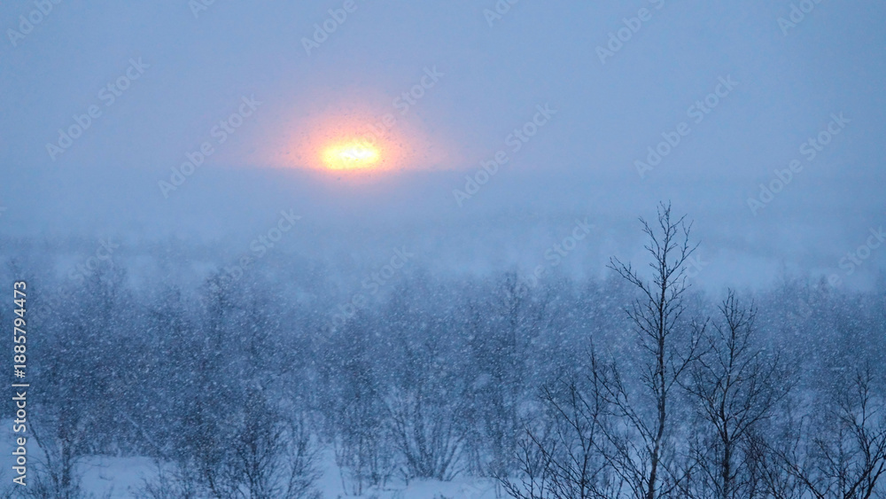 Naklejka premium AERIAL: Flying over the snowy treetops of a coniferous forest on foggy evening.