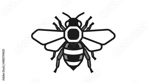 Bee Vector Illustration Graphic Style Flat Design Isolated White Background Insect Icon Simple Clean Minimalist Art