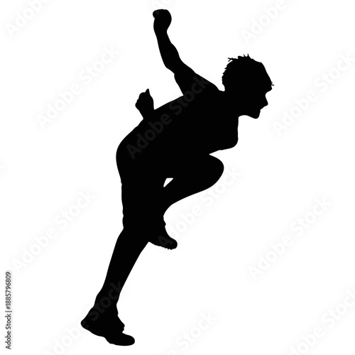 Silhouette of A Cricket Player