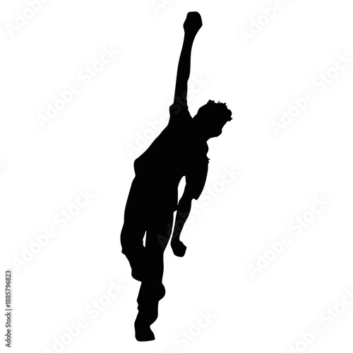 Silhouette of A Cricket Player