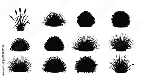 A collection of black silhouettes depicting various types of ornamental grasses and shrubbery