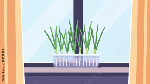 Green sprouts growing in a clear container on a windowsill
