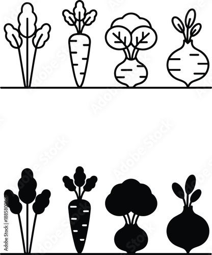 Root vegetables icons set showing carrots beets radishes in outline and solid styles organic farming flat vector illustration