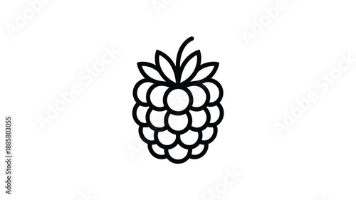 Simple black and white line drawing of a ripe raspberry fruit