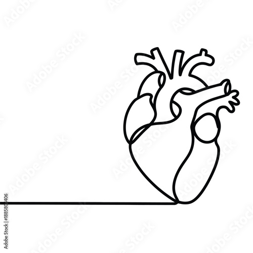 Single line drawing of a human heart with minimalist artistic style