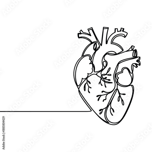 Minimalist sketch of a human heart with a single continuous line drawing