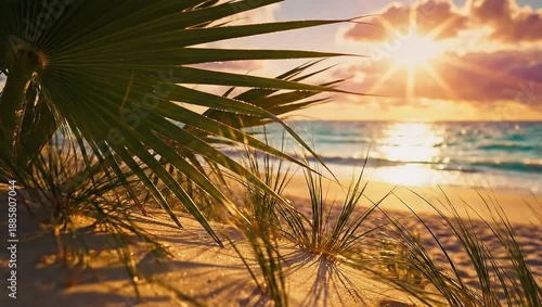 Sunlit Beach Scene with Palm Fronds at Dusk