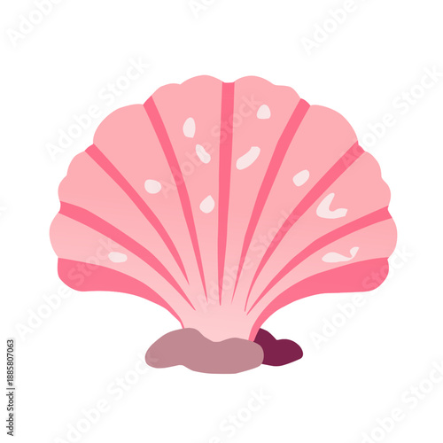 Seashell in Flat Cartoon Style for Marine Decoration Design