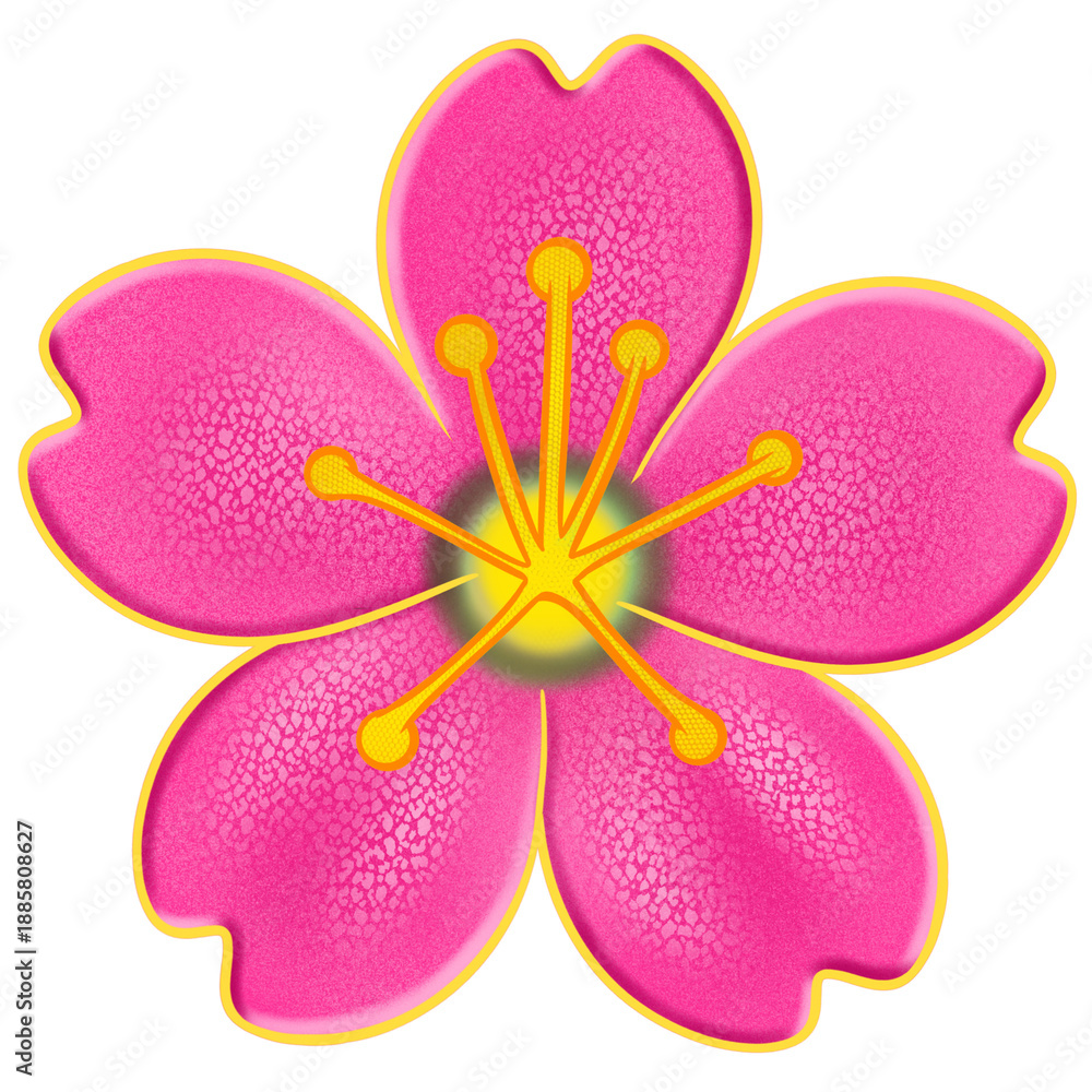 Fototapeta premium pink flower large size of emoji spring flower pink sakura flower element