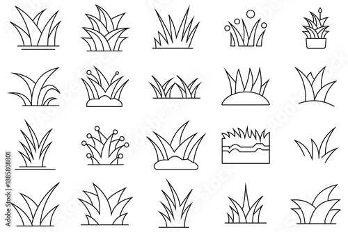 Grass line icon, Vector set. Grass icon set, lawn grass vector illustration. Collections of grass silhouette.