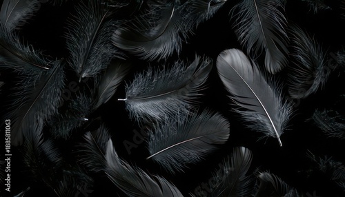 Dark Elegance - A Textured Tapestry of Black Feathers.