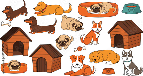 Autumn leaves vector collection with maple oak and rowan berries isolated on dark background