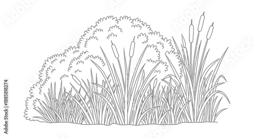 A detailed sketch depicts a dense flourishing patch of wild grasses and leafy bushes