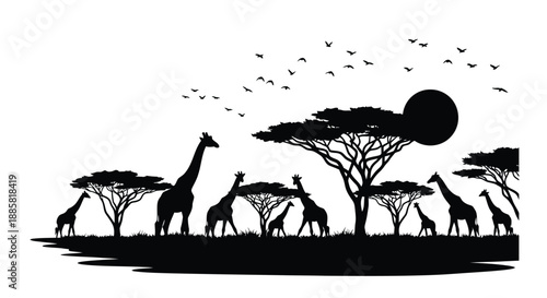 African savanna silhouette featuring giraffes trees birds and a setting sun backdrop