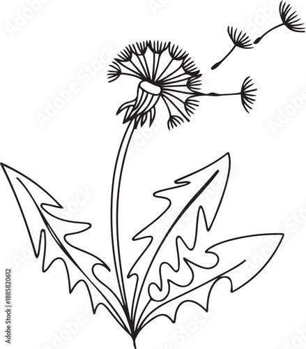 One continuous line drawing of beauty fresh taraxacum for home decor wall art poster print. Printable decorative dandelion flower concept. one line Icon drawing