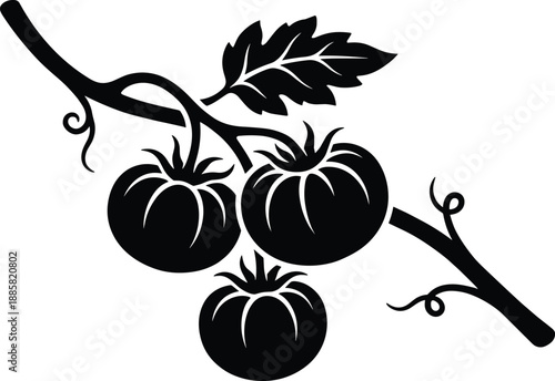 Black tomato branch silhouette illustration, three ripe tomatoes with leaves, minimalist organic vegetable icon for food branding design