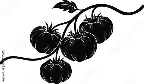 Black tomato vine silhouette illustration, four ripe tomatoes with leaves, minimalist organic vegetable icon for food branding design