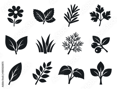 Modern silhouette plant icons set featuring a flower, various leaves, herbs, and berries for botanical designs