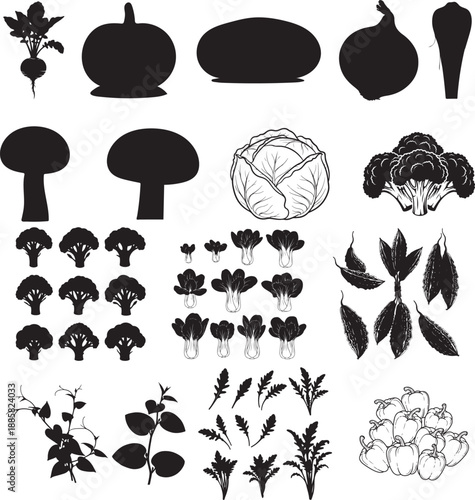 Vegetable Icons Set – Beetroot, Broccoli, Cabbage, Garlic & More