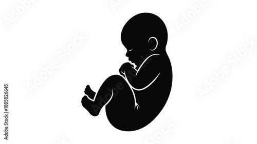 a black silhouette of a fetus in a curled position peaceful and serene