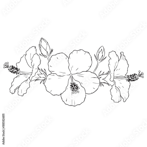 Black and white line of a cluster of hibiscus flowers with stems and leaves line botanical floral