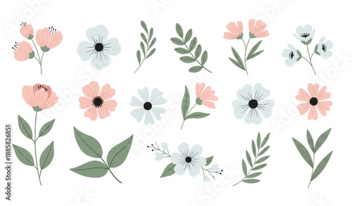 Beautiful nature inspired floral illustration elements with elegant botanical motifs isolated on transparent background