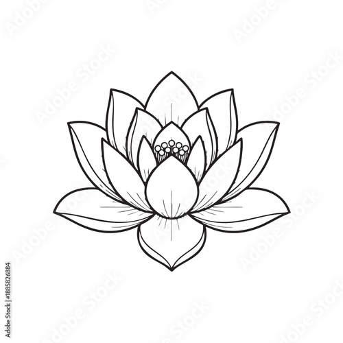 Black and white line of a detailed lotus flower with intricate petals and central seed pod line black and white 1