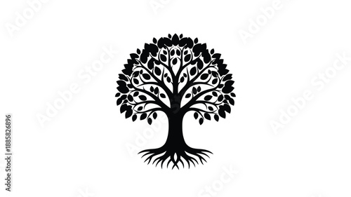 a detailed tree silhouette with visible roots against a white background