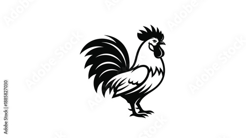 a striking black rooster illustration with detailed feathers silhouette