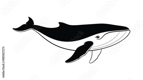 a striking black and white whale illustration showcasing a minimalist silhouette