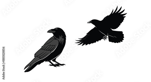 Two black ravens depicted in different poses one perched and one in flight