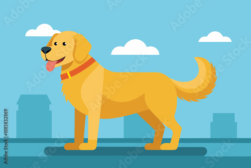 golden retriever dog