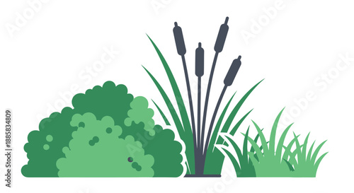 Simple illustration of wetland vegetation including cattails grasses and a rounded shrub