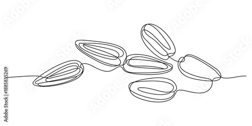 Abstract illustration of sunflower seeds in continuous line art Vector, illustration