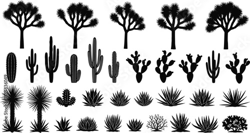 Desert plants and cactus silhouettes vector set with Joshua trees agave succulents, arid landscape botanical elements collection for design