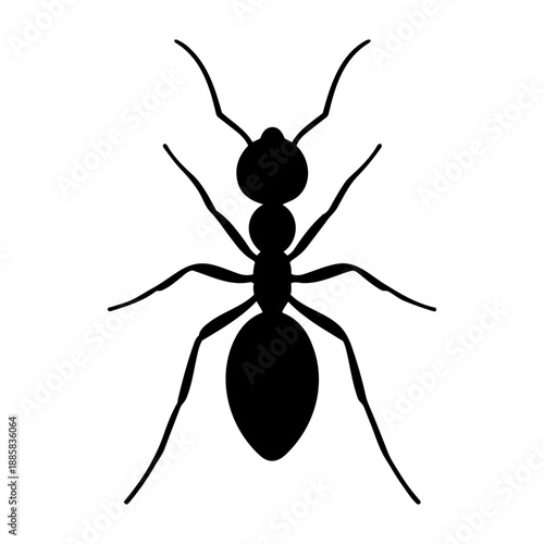 Minimalist black ant silhouette icon isolated on transparent background for nature insect design