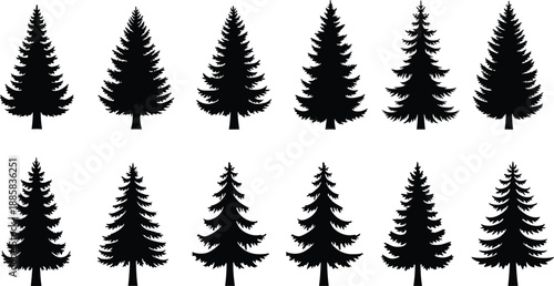 Evergreen pine tree silhouettes vector set with fir spruce variations, minimalist forest nature illustration collection for landscape design and branding