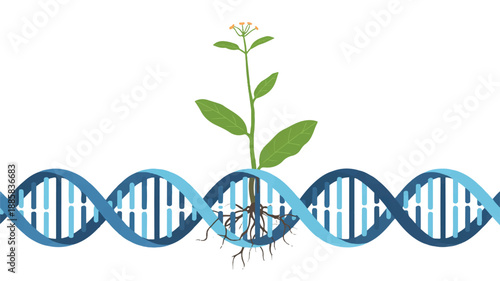 A minimalist digital illustration of a DNA strand with a growing plant emerging from its base (4)_traced