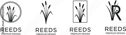 Minimal reeds logo vector set with cattail plant symbols and typography variations, modern premium branding illustration collection for business identity design