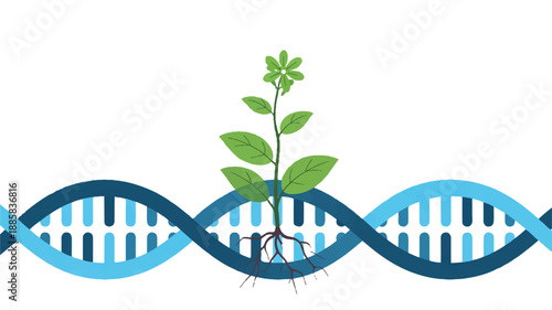 A minimalist digital illustration of a DNA strand with a growing plant emerging from its base (3)_traced