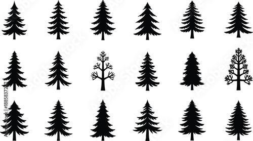 Pine and fir tree silhouettes vector set with evergreen forest variations, minimalist woodland nature illustration collection for landscape design and branding