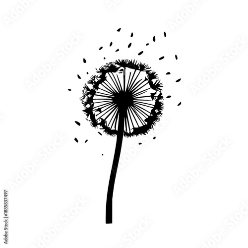 Elegant Black Silhouette of a Dandelion Flower Head Losing Seeds on a Clean White Background, Minimalist Nature Art
