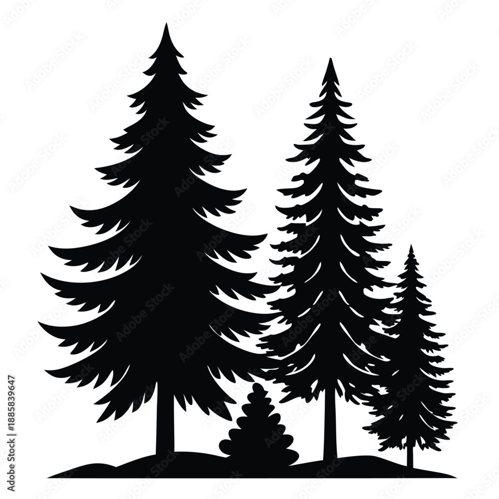 Fototapeta premium A silhouette showcases three pine trees of varying sizes standing together on earth