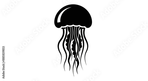 Elegant silhouette of a jellyfish gracefully floating in the ocean depths.