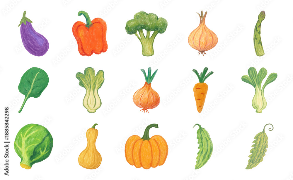 Fototapeta premium Colorful hand-drawn vegetable illustrations