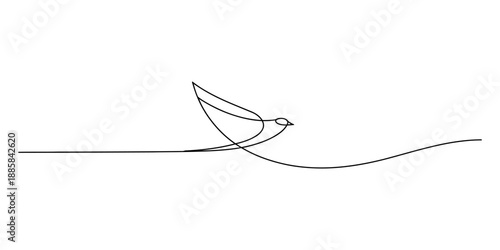 Elegant and minimalist continuous line art drawing of a graceful flying bird Vector, illustration
