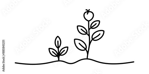 A visual representation of plant growth, from seedling to mature plant Vector, illustration